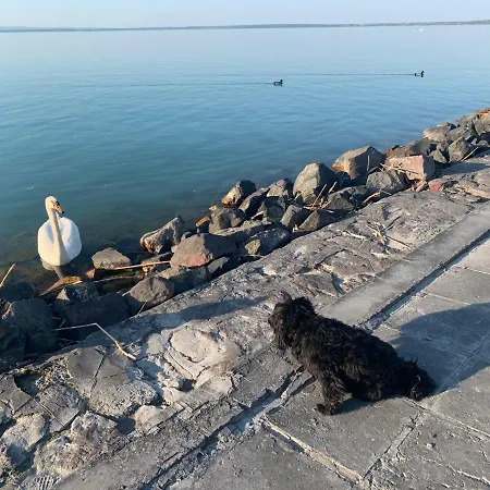 Dream Apartment Siofok